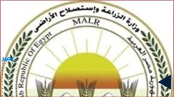 مشاركة واسعة.. انطلاق منتدى الأرز الأفريقي في القاهرة بحضور وزراء وسفراء القارة